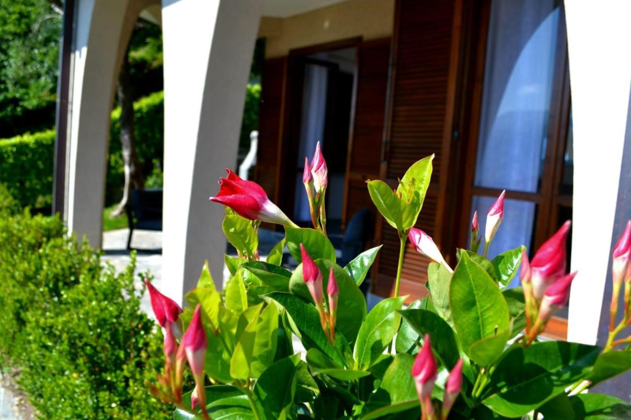 Le Grigne Guesthouse - The Garden Oliveto Lario Luaran gambar